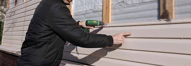 Best Siding Painting and Refinishing  in Waterman, IL